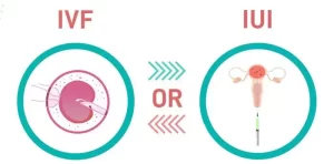 The benefits of IUI and IVF